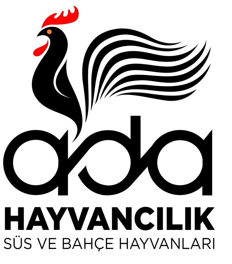 süs ve bahçe hayvanları